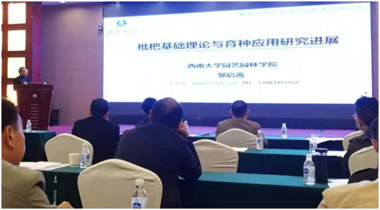 年会1.jpg